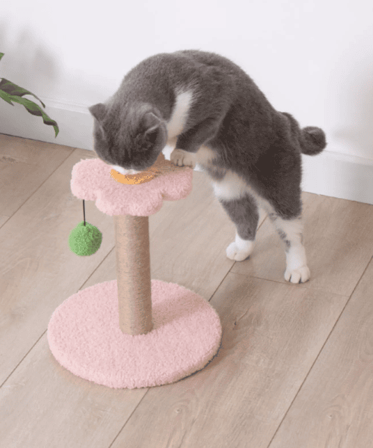 Flower Cat Scratcher 28cm