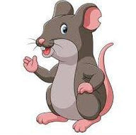 PLT Rodents Frozen Rat | Medium x5