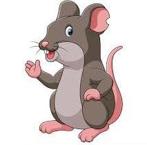 PLT Rodents Frozen Rat | Small x5