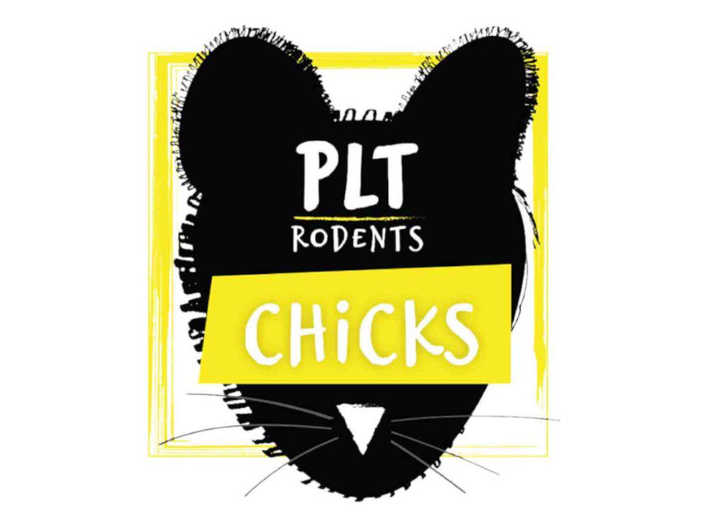 PLT Rodents Frozen Chicks | 10 Pack