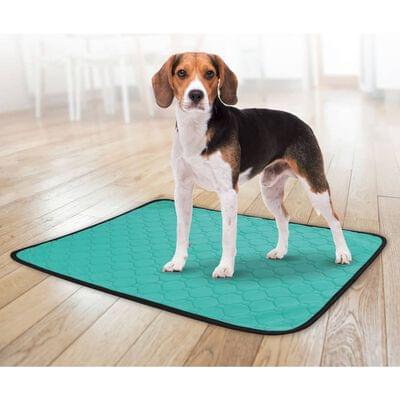 Flamingo Reusable Absorbent Pad