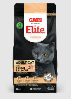 Gain Elite Cat Food Salmon