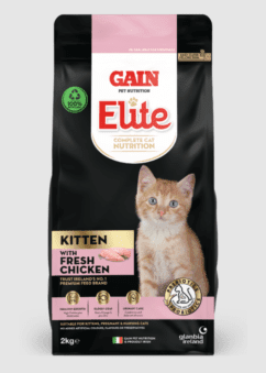 Gain Elite Kitten
