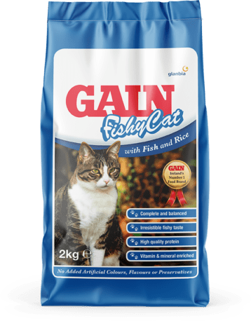 Gain FishyCat
