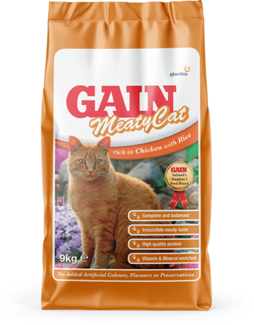 Gain MeatyCat