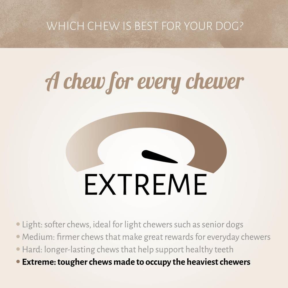 Antos Gourmore Root Natural Dog Chew Small