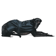 Ancol Greyhound Coat Black 70cm