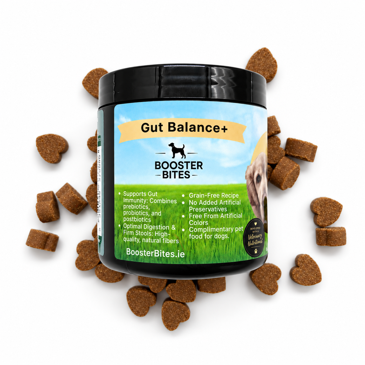 Booster Bites Gut Balance+ x60