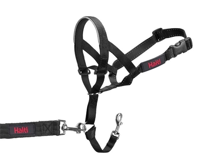 Halti Headcollars