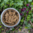 Herbafix Cold Pressed Digestion Chicken & Tripe