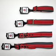 TPS Buckled Reflective Dog Collar - Red