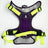 Booster Paw Two-Point Harness Purple & Green
