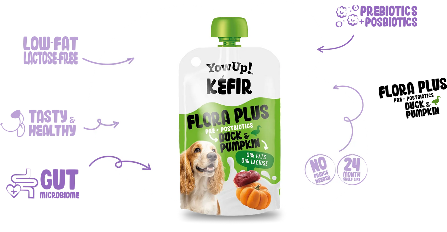 YowUp! Kefir with Duck & Pumpkin 115g