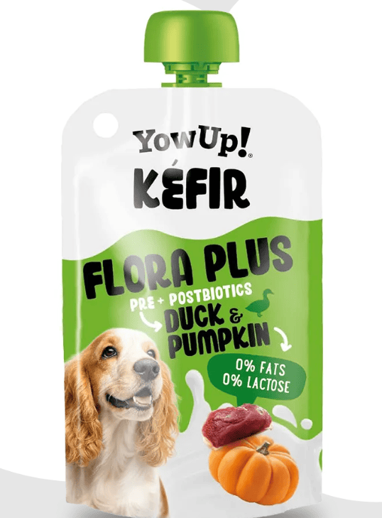 YowUp! Kefir with Duck & Pumpkin 115g
