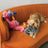 Kong Comfort Jumbo Bird
