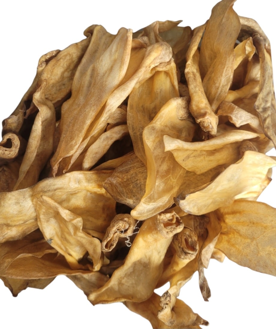 Lamb Ear