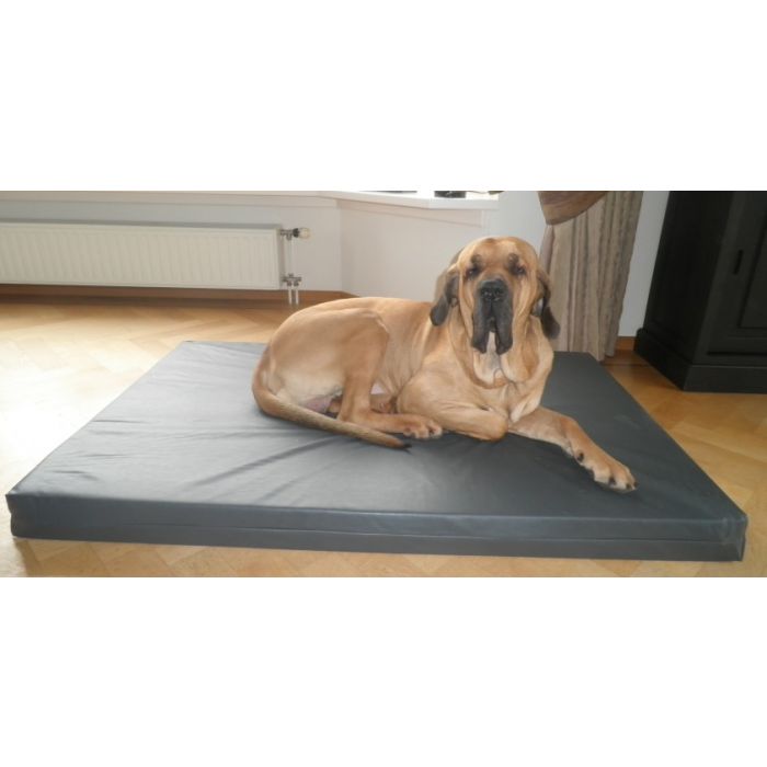 TM Leather Look Orthopedic Dog Bed