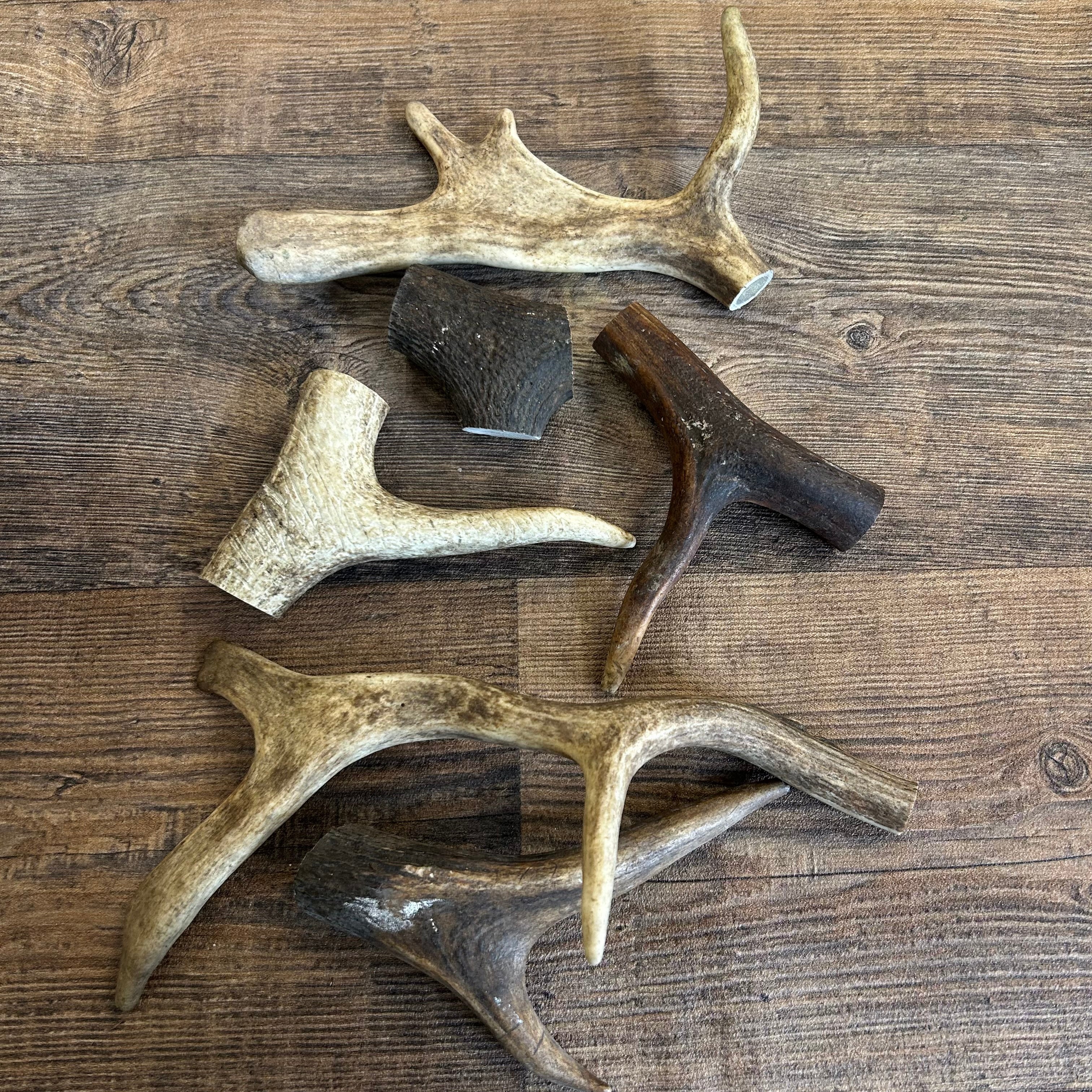 Deer Antlers - Natural Tough Dog Treat