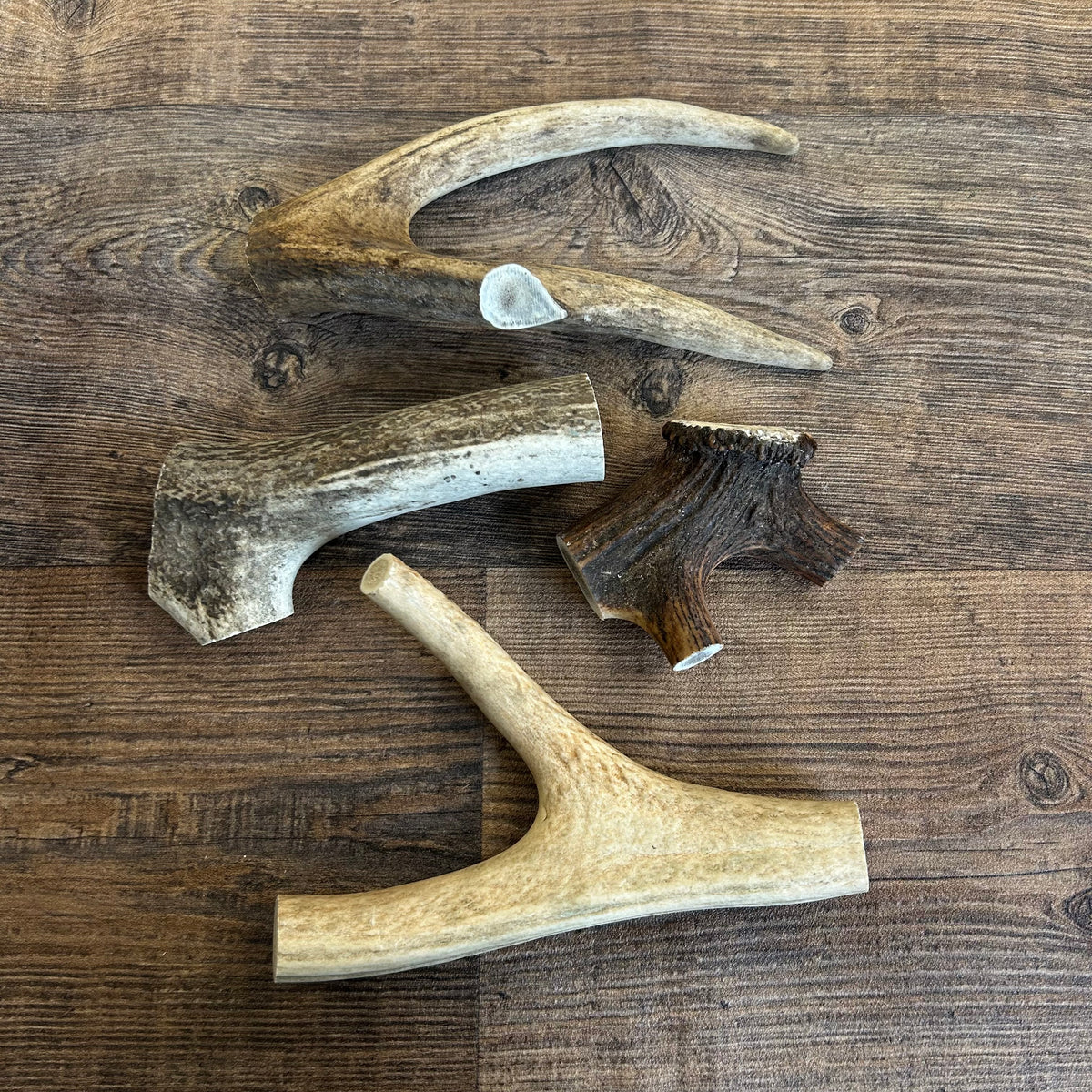 Deer Antlers - Natural Tough Dog Treat