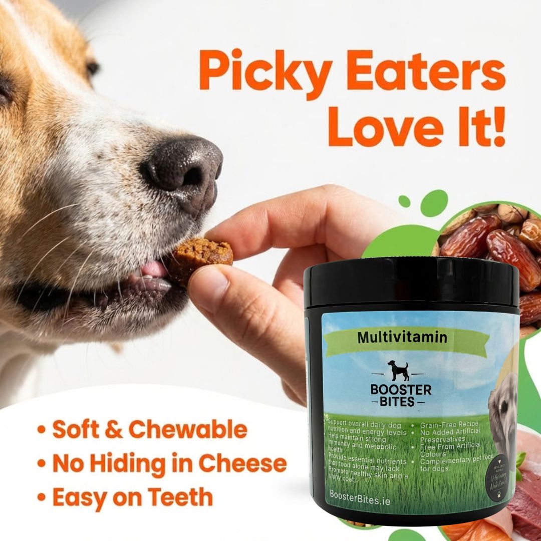Booster Bites Multivitamin Dog Treats x60