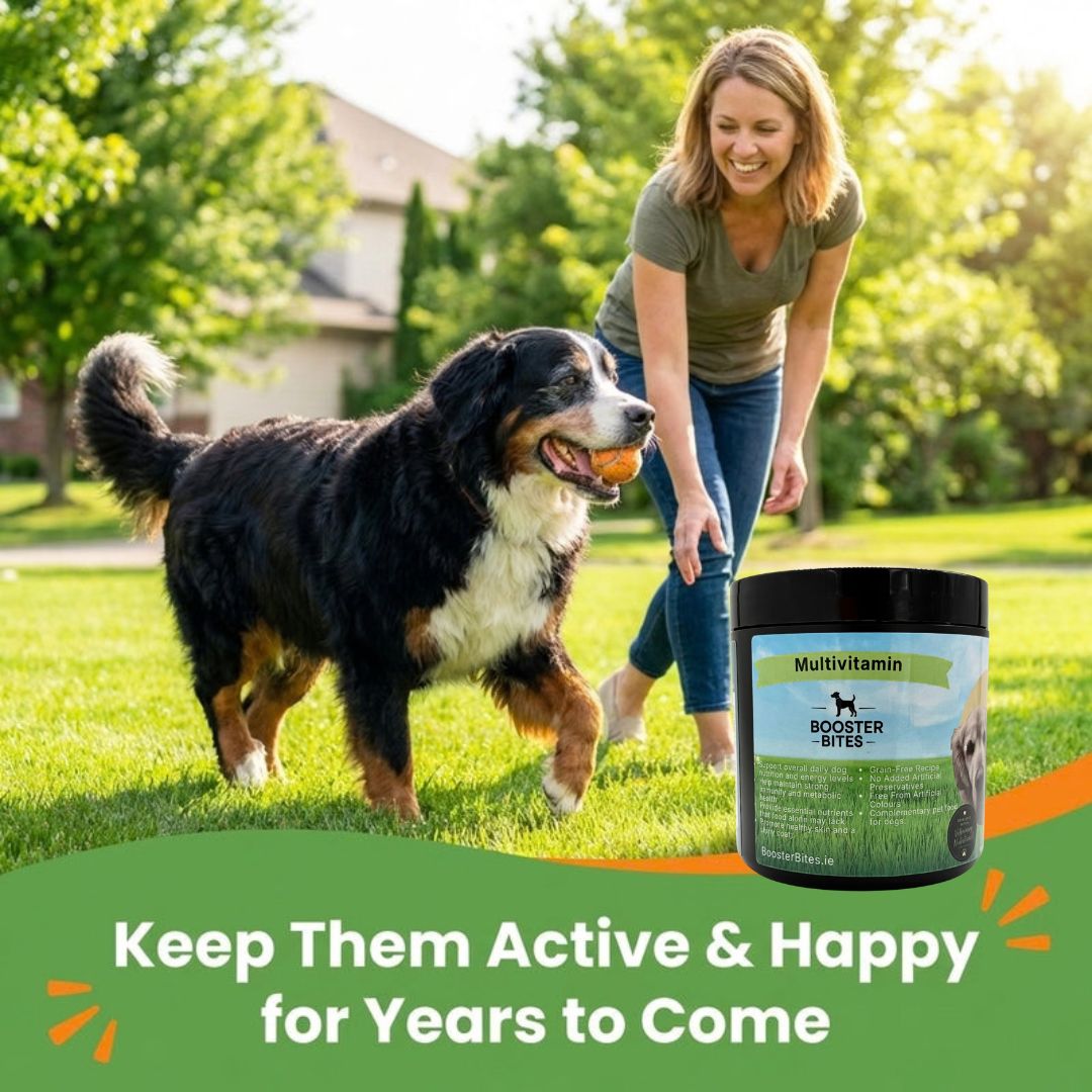 Booster Bites Multivitamin Dog Treats x60