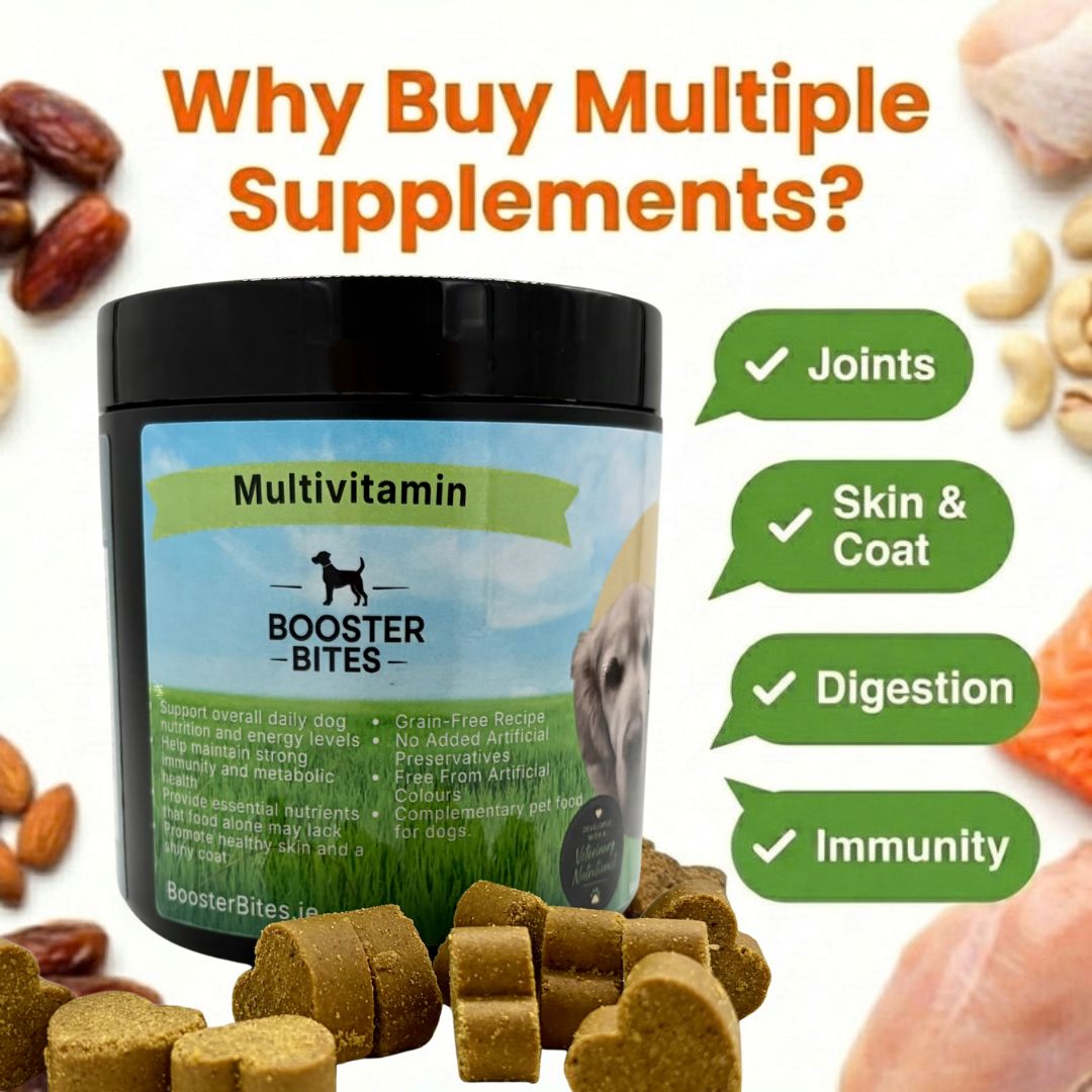 Booster Bites Multivitamin Dog Treats x60