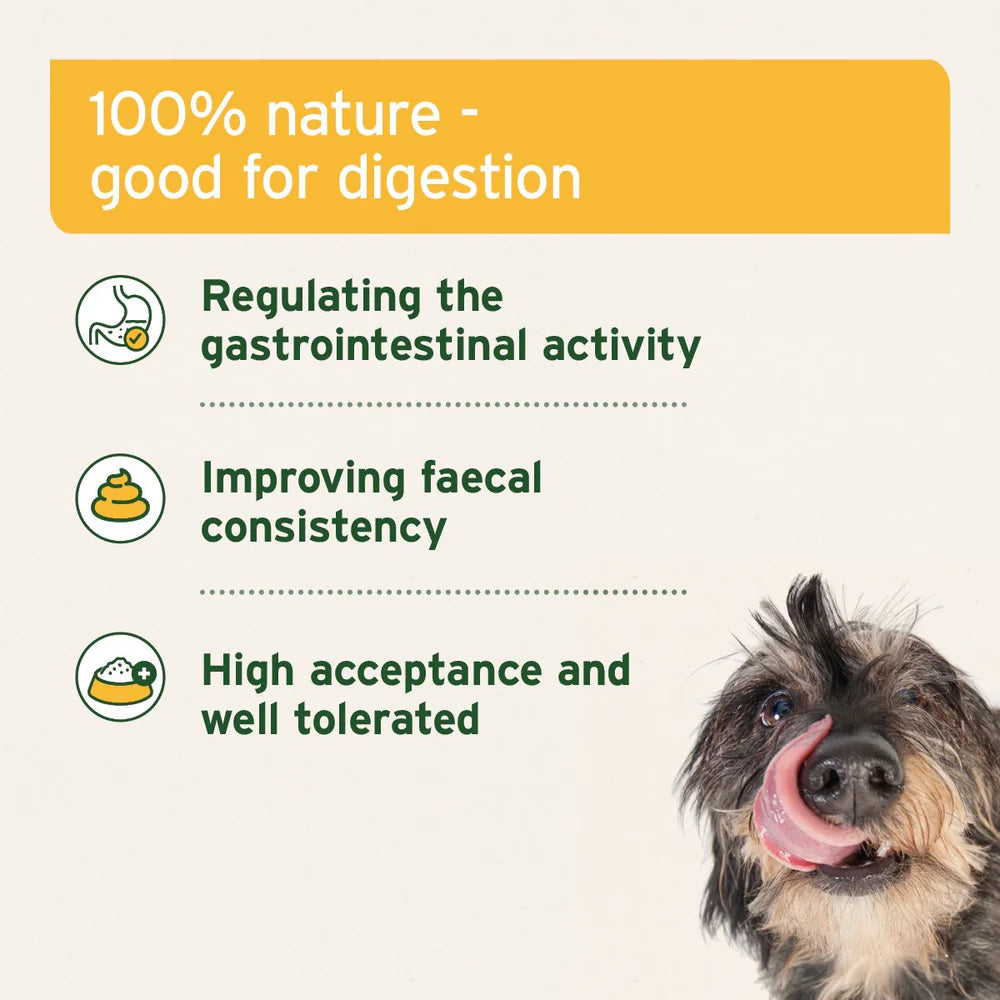 AniForte Natural Moor Mud 300g | Supports Digestion and Immunity