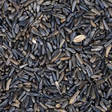 Niger Seed