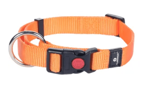 Flamingo Collar Orange
