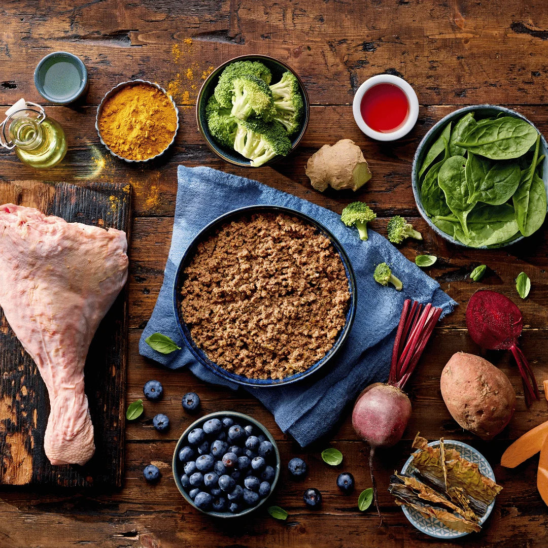 Naturo Adult Dog Turkey Superfoods - Grain Free Dog Food | 395g Tray