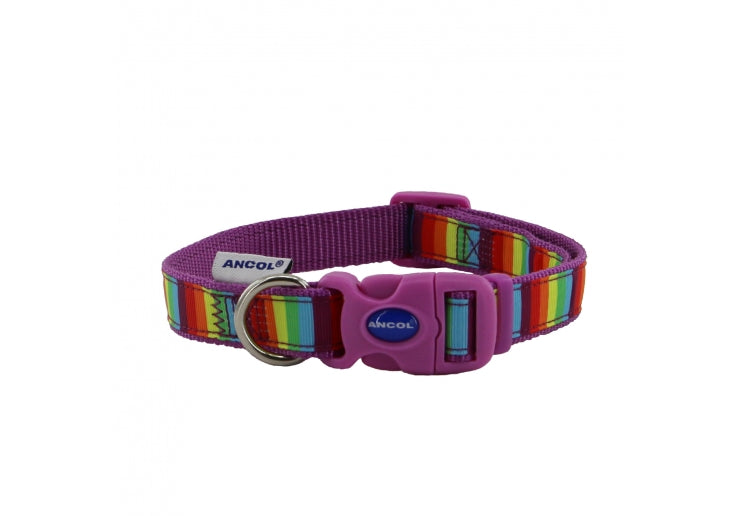 Soho Rainbow Collar/Lead