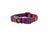 Soho Rainbow Collar/Lead