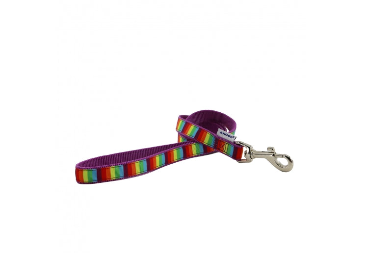 Soho Rainbow Collar/Lead