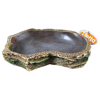 Betta Reptile Dish