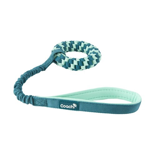Company Of Animals Coachi Tuggi Helix Puppy Training Toy
