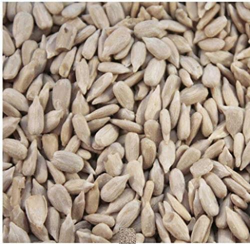 Sunflower Hearts