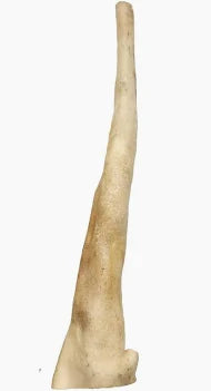 Buffalo Tail No Skin
