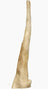 Buffalo Tail No Skin