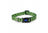 Soho Bee Collar/Lead