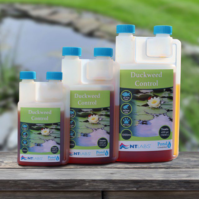 NTLabs Duckweed Control Treatment 250ml