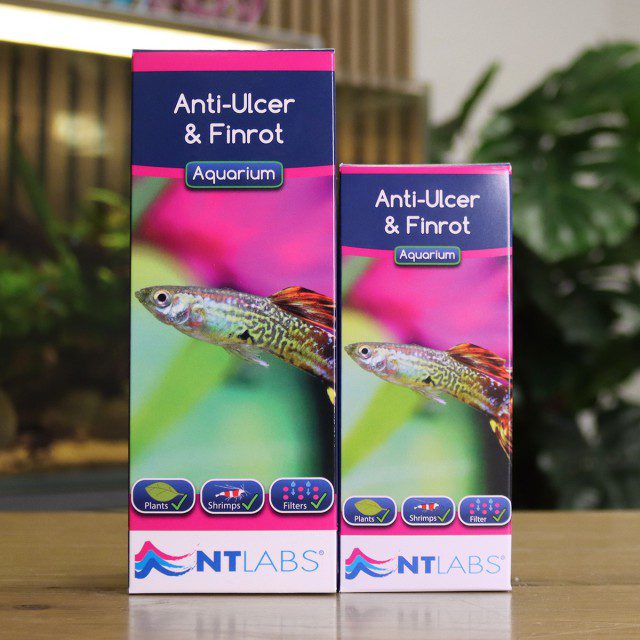 NTLabs Anti-Ulcer & Finrot Treatment 100ml