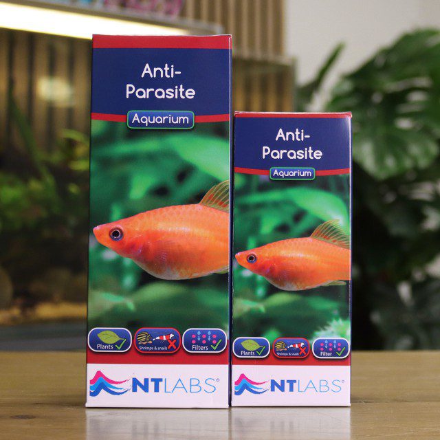 NTLabs Anti Parasite Fish Treatment 100ml