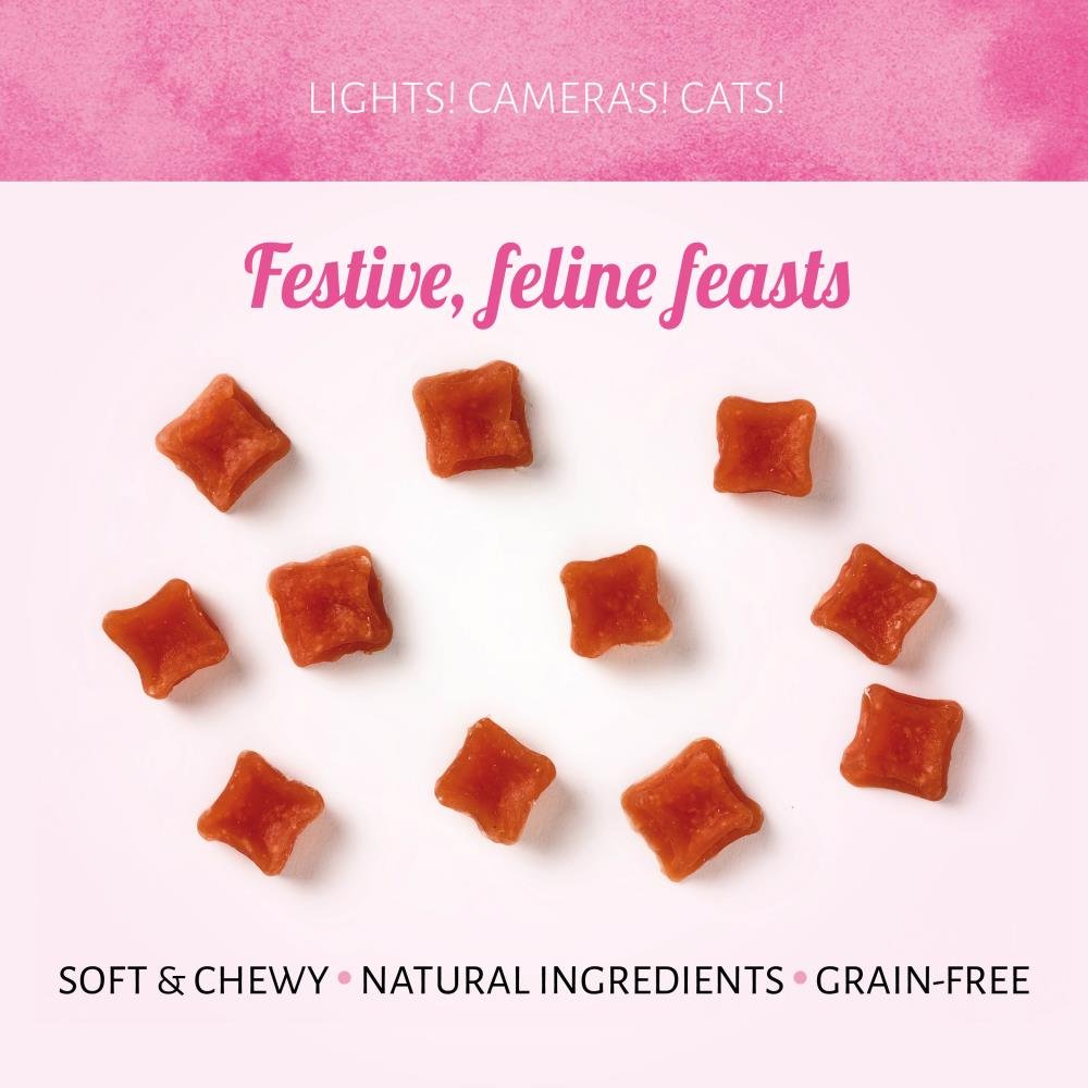 Antos Meaty Tinsel Christmas Cat Treats 30g