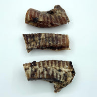 Beef Trachea Small