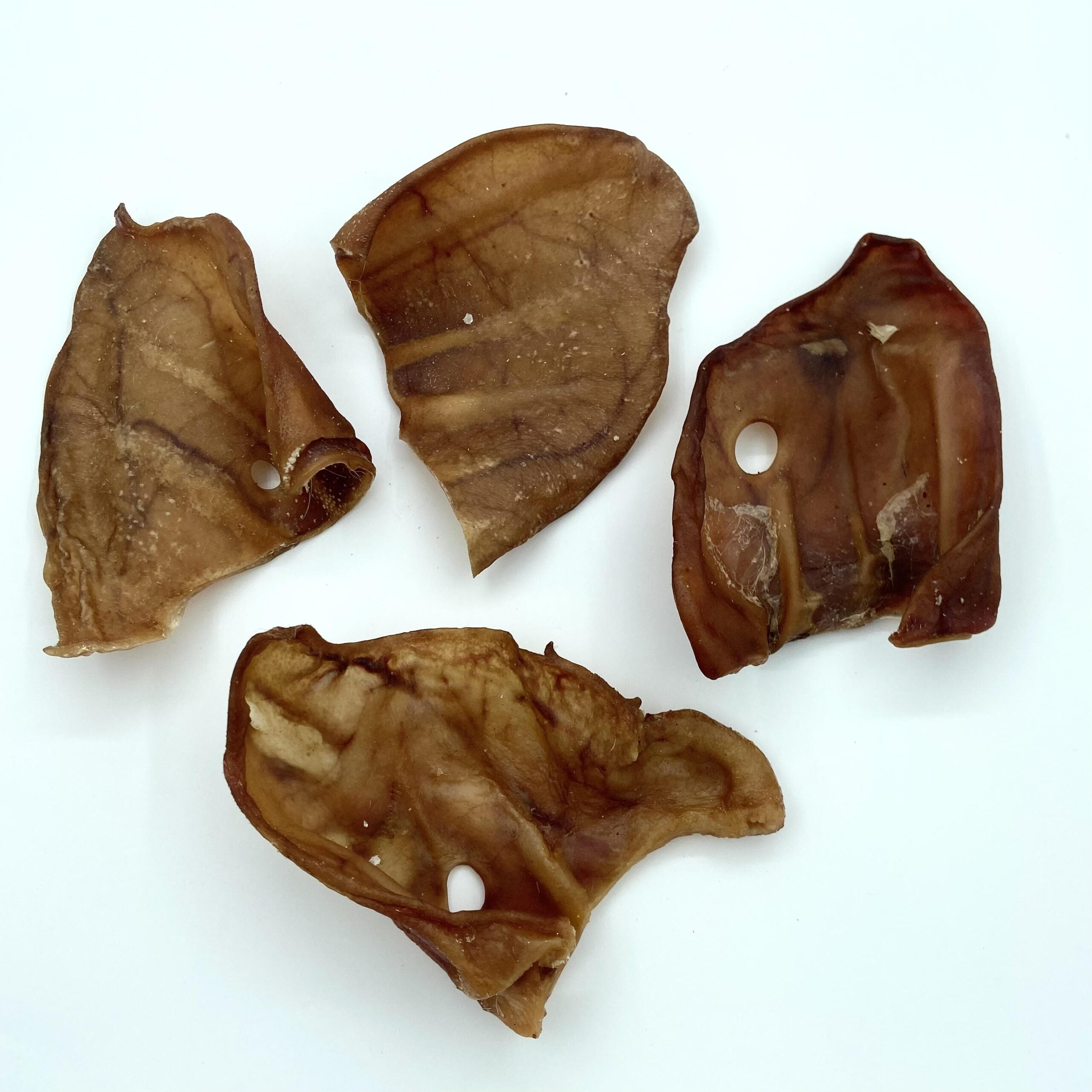 Pigs Ear x1