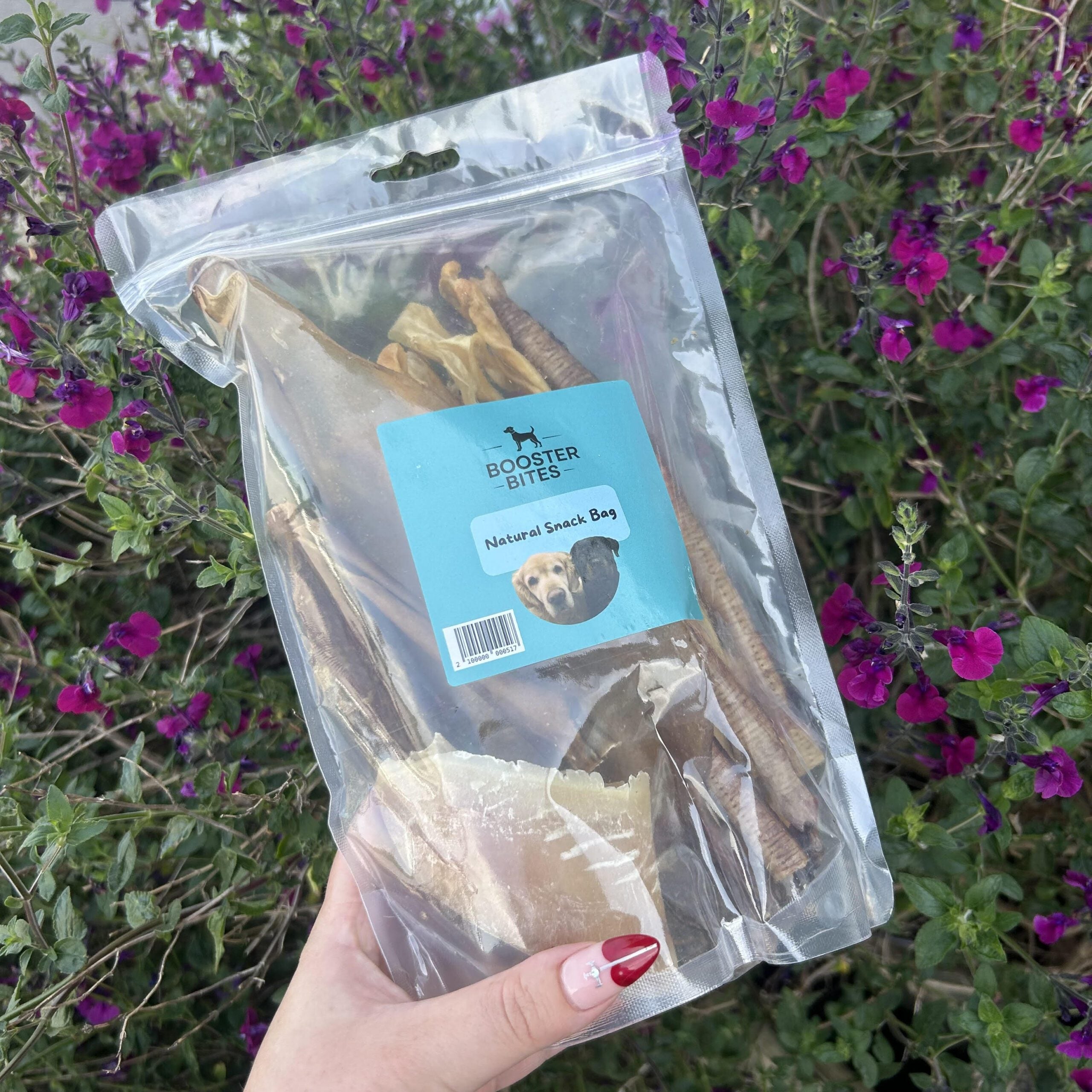 Booster Bites Natural Doggy Snack Bag