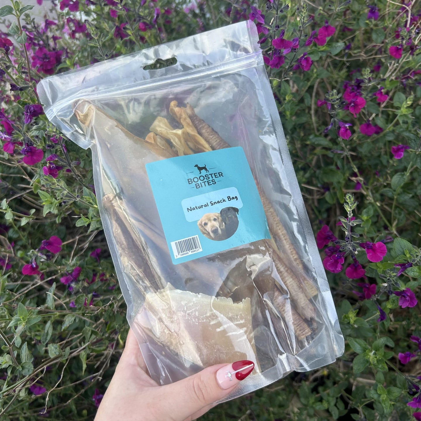 Booster Bites Natural Doggy Snack Bag