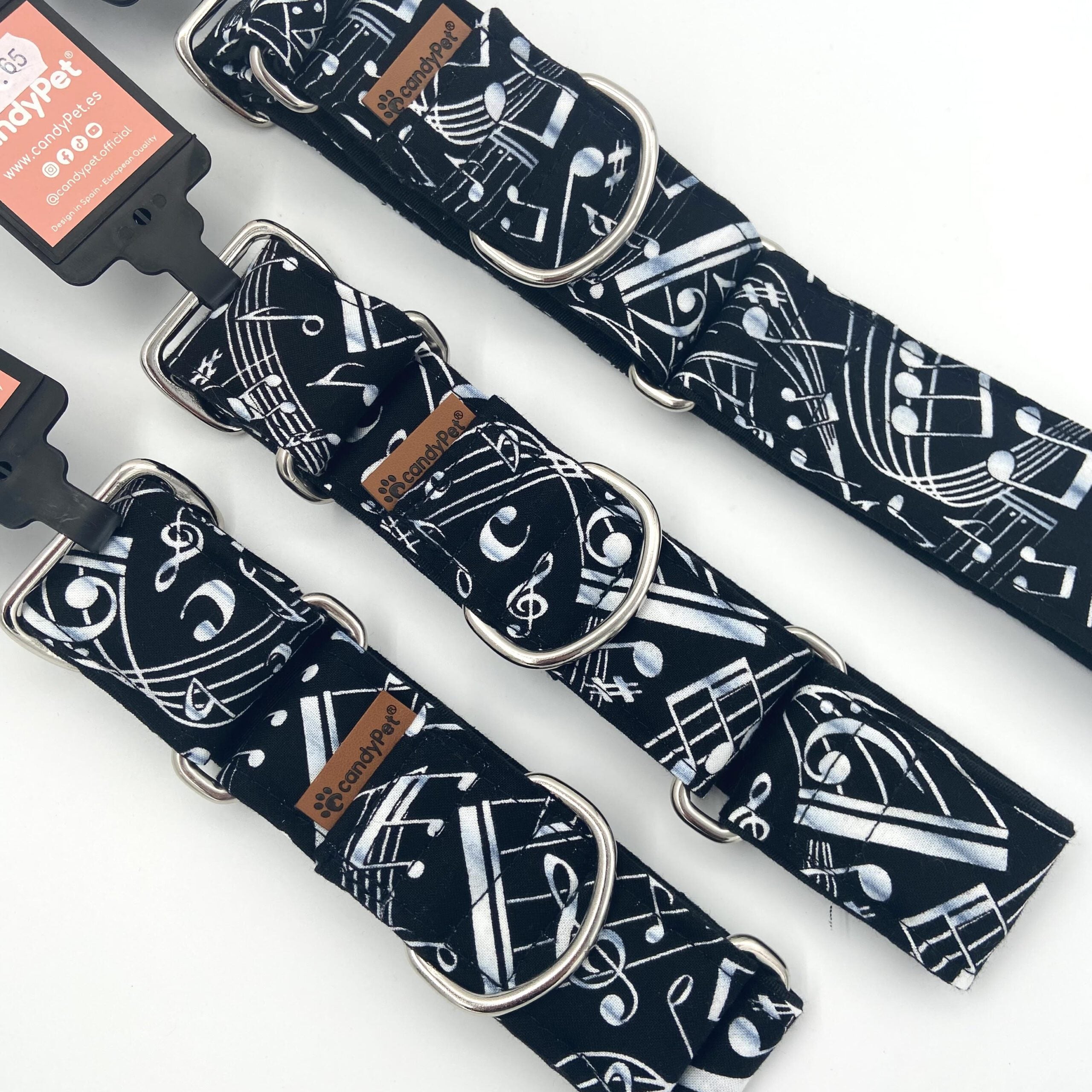 CandyPet Musical Notes Martingale Collar & Lead