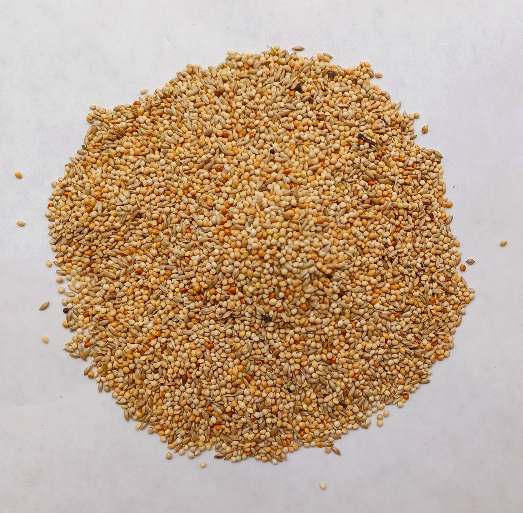 Vadi Budgie Seed 20KG