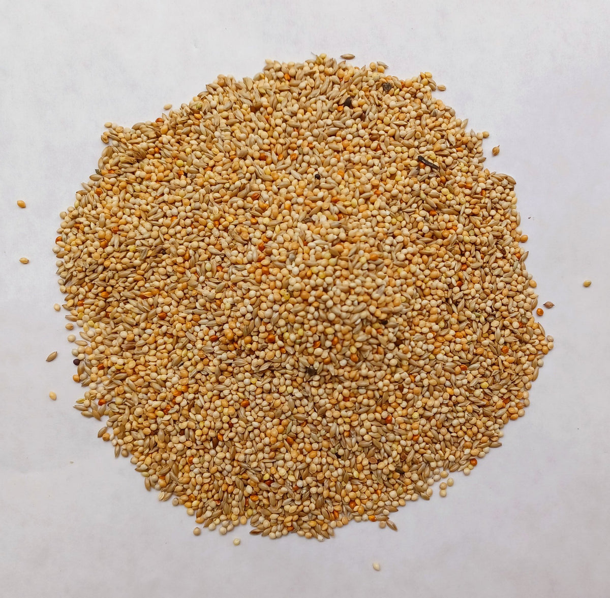 Vadi Budgie Seed 20KG